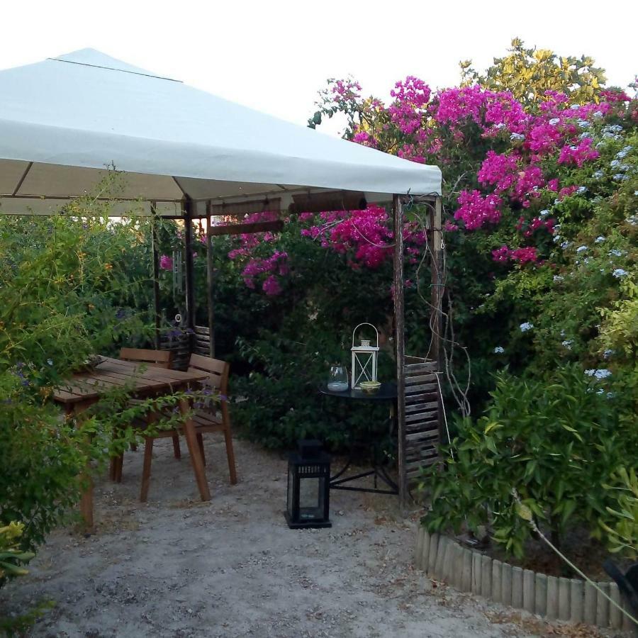 Villa Aegina'S Oasis Exterior foto